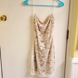 NWT Windsor Bodycon Ivory Lace Fully Lined Dress sz L